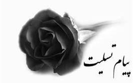 پیام تسلیت رئیس کل سازمان نظام پزشکی در پی درگذشت استاد دکتر شمس شریعت تربقان