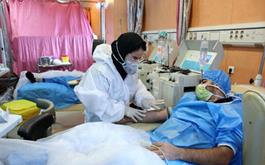 ۳۴۵ بیمار در بخش های کرونایی استان بوشهر بستری هستند