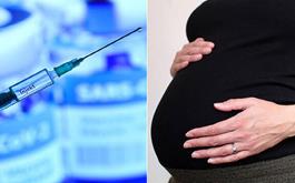 واکسن کرونا منجر به زایمان زودهنگام یا سقط جنین نمی‌شود