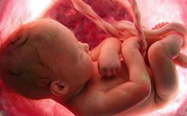 اعتراض انجمن علمی ژنتیک پزشکی ایران به حذف تست های غربالگری سلامت جنین
