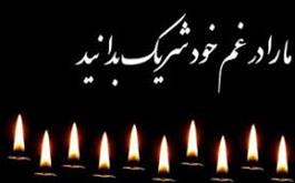 پیام تسلیت رئیس انجمن مراقبت های ویژه ایران برای درگذشت دکتر گل علیزاده