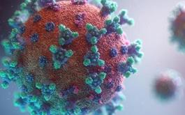 گونه آفریقایی؛ خطرناک‌ترین جهش کووید۱۹ / احتمال لزوم تزریق سالانه واکسن کرونا