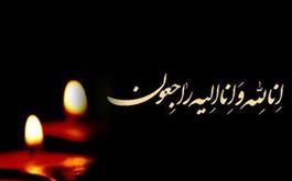 پیام تسلیت رئیس شورای عالی بدنبال درگذشت فرزند دکتر مسجدی