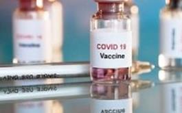 آغاز ثبت سفارش‌ واردات واکسن کرونا توسط بخش خصوصی/ درخواست ۴۹ شرکت برای واردات/ پیشنهاد خرید ۲۰ میلیون واکسن را داریم