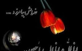 پیام تسلیت رئیس هیات مدیره جامعه دندانپزشکی ایران در پی درگذشت دکتر گل علیزاده