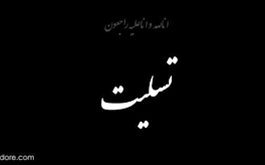 پیام تسلیت رئیس نظام پزشکی شیراز بدنبال درگذشت دکتر زینلی