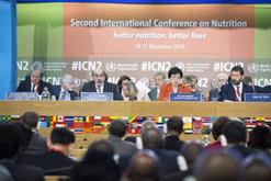 Countries vow to combat malnutrition through firm policies and actions